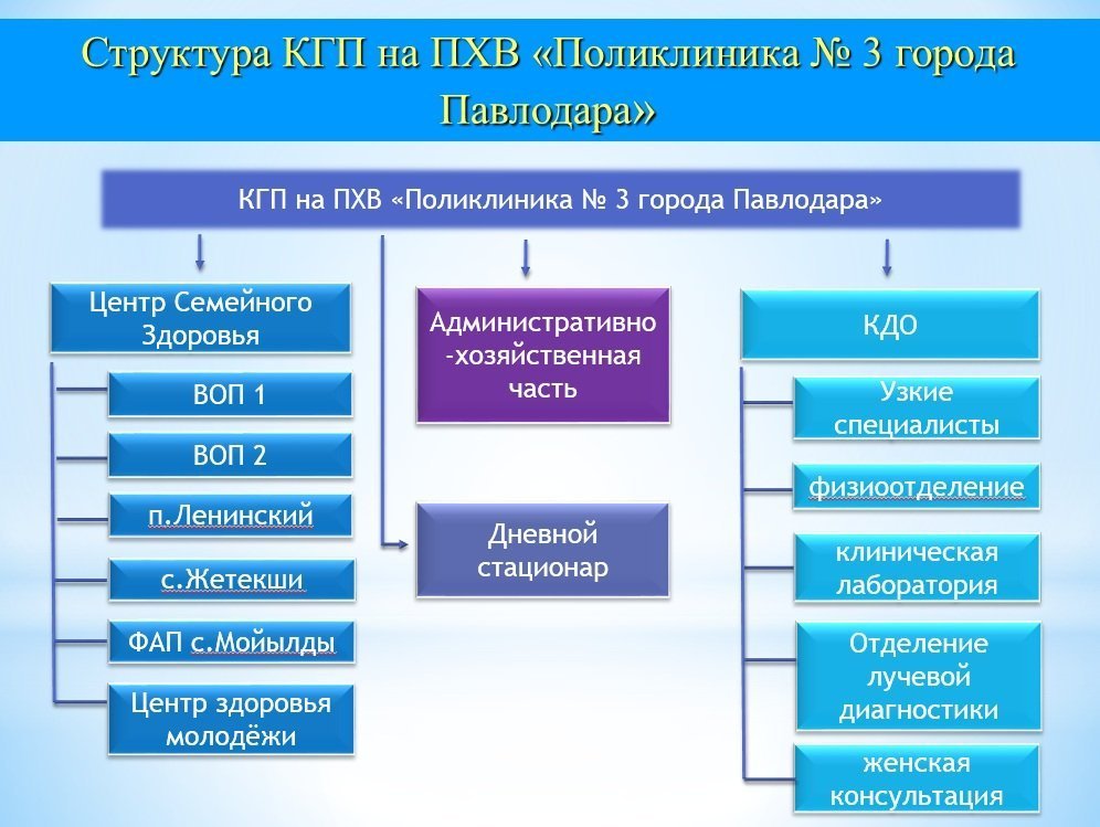 Структура поликлиники